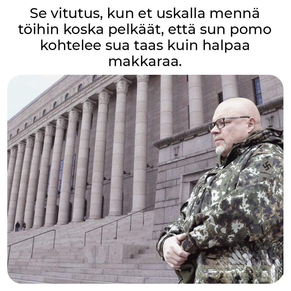 ano turtiainen meemit